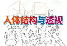 游戏动漫人体结构手绘｜人体结构与动态塑造 PDF+JPG双版本_秘匣阁