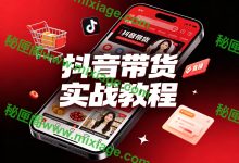 抖音电商从0到1：选品策略 + 带货全流程系统教学_秘匣阁