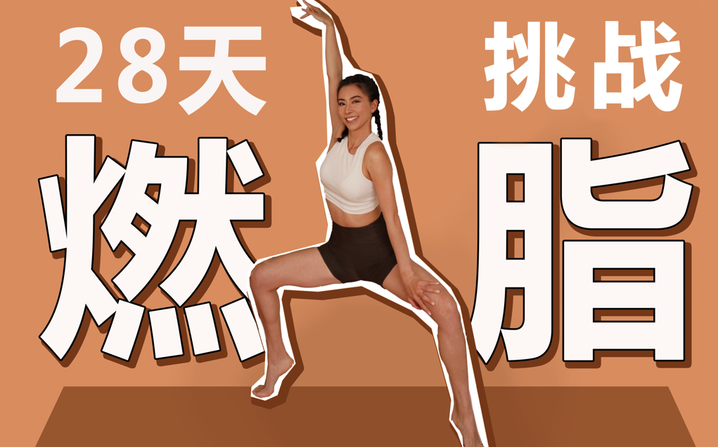 28天减肥训练营燃脂教程，亲测28天掉10斤，减肥人群有福了~_秘匣阁