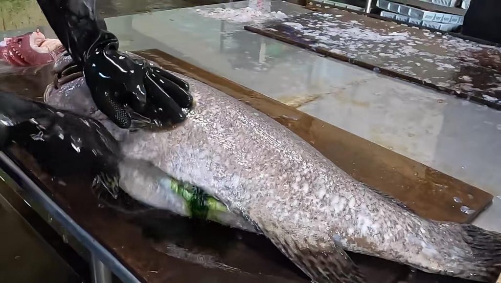 解压切肉鱼生刺身刀法 起片慢动作高清素材 助眠无水印_秘匣阁